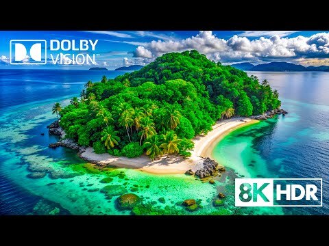 Unleash Nature’s Wonders in 8K HDR 60FPS Dolby Vision - View Video - 33 ...